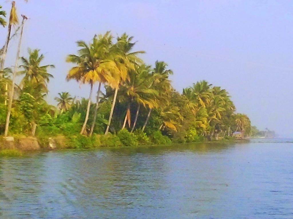 Marari Nest Beach Homestay Mararikulam Bagian luar foto