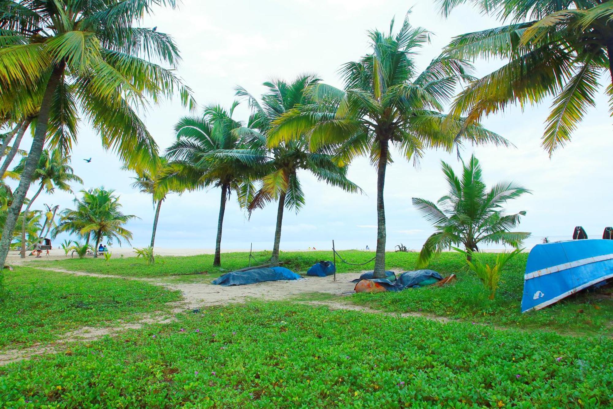 Marari Nest Beach Homestay Mararikulam Bagian luar foto